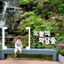 즐거운예원어린이집-1구간 | [곤지암 화담숲]24년 10월 화담숲 단풍 근황, 화담숲 맛집, 아기랑 화담숲, 화담숲 모노레일 화담숲 꿀팁