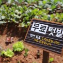 쉼표펜션 이미지