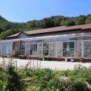 하슬라 캠핑장 이미지