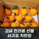 농민후계자직판장