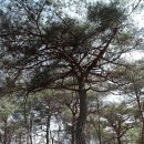 송청주유소