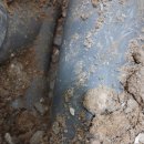 너부대로 이미지