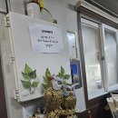 신사부대찌개곱창전골 이미지