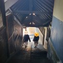 화산-03 | [Probolinggo] Cafe Lava Hostel (프로볼링고 브로모 화산 카페 라바 호스텔)