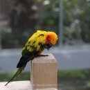 경주버드파크 이미지