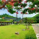 안동시립박물관 이미지