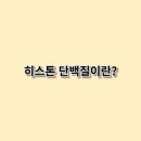 히스톤(HisTone) 네이버블로그