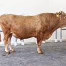 경상북도 축산기술연구소 이미지