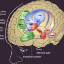 명륜신경정신과의원 이미지