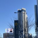 약손119안마원 | 해운대최고의 안마원은? 약손119지압원!!