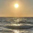 리틀미코노스8 이미지