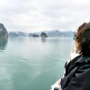 섬띠농장 이미지