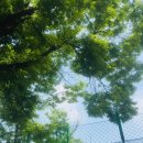 구월근린공원 이미지