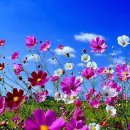 수호농장 이미지