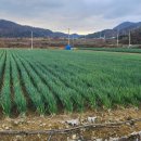 남산할인마트 이미지