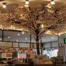 푸릴리 포항문덕점 이미지