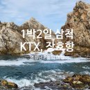 삼진이음 | 1박2일 삼척여행ㅣktx 이음열차, 장호항 스노쿨링, 삼척 쏠비치
