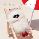 코지모지