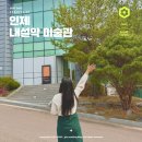 강원도 인제 당일치기 혼자 여행 인제내설악미술관