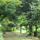 일영랜드(주) 이미지