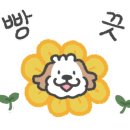 몽글스튜디오 이미지
