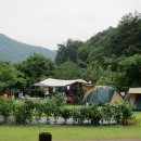 솔밭펜션캠핑장 이미지