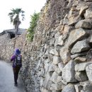 솔방다방 이미지