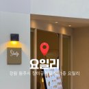 요일리 | [원주 단계동 맛집] 감성 인테리어 단계동 술집 | 요일리 요리주점 방문후기