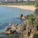 푸른강원 | 📍산떨별의 2026 강원 오감 트레일 후기