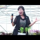 노래하는다육이 Daum카페