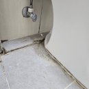 정원약품 | 부산수영구광안동 이사청소 잘하는업체 진실한클린 정원센템뷰