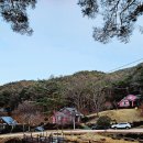 순천자연휴양림 이미지