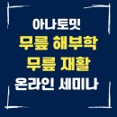 [해부학 재활] 온라인 세미나 의사가 알려주는 해부학, 수술 병원 물리치료사가 알려주는 재활 이미지