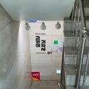 신대방역 "고양이 기숙사" 개냥이 구조묘들이 사는 힐링 공간