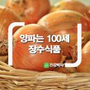 양파는 100세장수식품 이미지