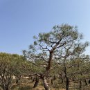 성주농원 이미지