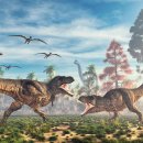 Strength Museum 이미지