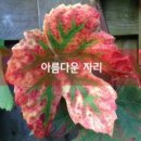 아름다운자리 이미지