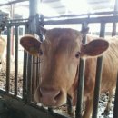 원동농장 이미지