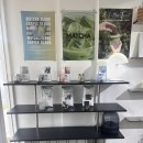 커피 한잔의 여유 바리스타(월) | [서울/강남] 아야커피(AYA COFFEE) : 호주워홀 바리스타에게 배우는 호주식 라떼아트 클래스 리얼 후기