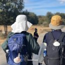 ㈜즐거운여행 이미지