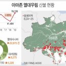 우림메디칼 이미지