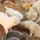 재순농장 이미지