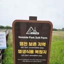 씨사이드파크 제1염전화장실 | 영종도 씨사이드파크 염전체험하며 캠핑 강아지와 산책하기 좋은곳