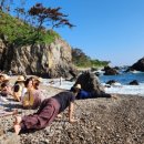 스테이사룡 이미지