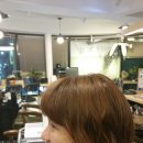 춘희헤어