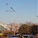 스마트폴 이미지