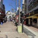 타코비 | 대구 동성로 타코야끼 맛집 포장 후기 타코비 동성로점