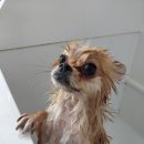 오구오구살롱 이미지