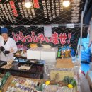 이오여행사